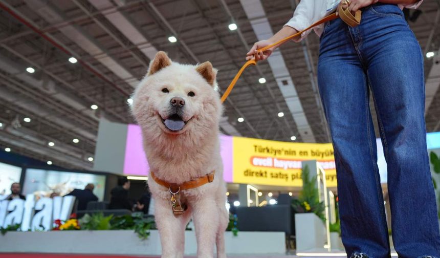 İzmir’de evcil hayvan ürünleri fuarı başladı