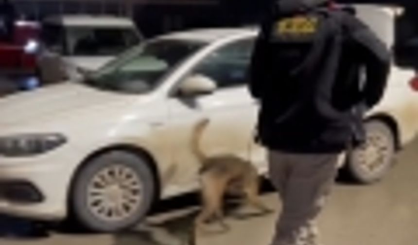 Narkotik polisi düğmeye bastı: 3şüpheli tutuklandı