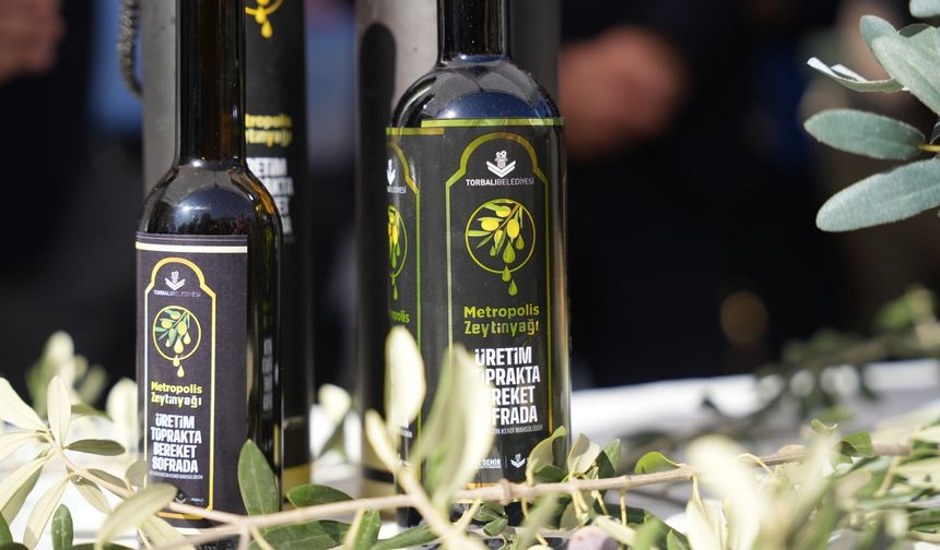 Torbalı'da zeytin hasadı markaya dönüştü: Metropolis