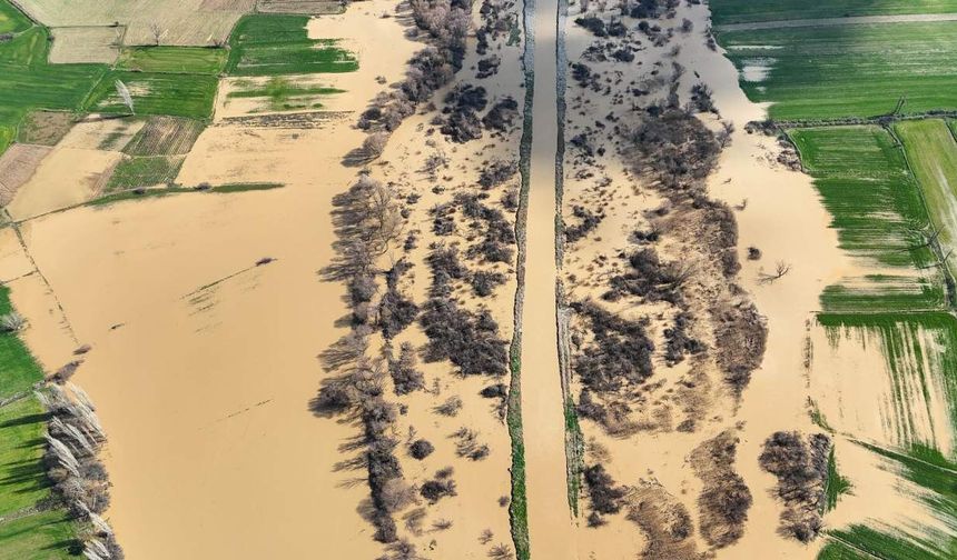 Gediz Nehri taştı, tarım arazileri sular altında