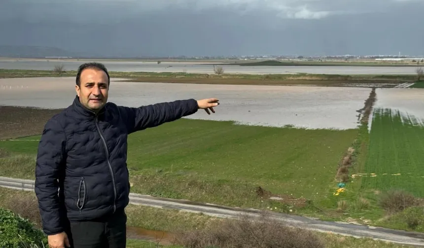 Yağışlar Torbalı’da üreticiye nefes aldırdı