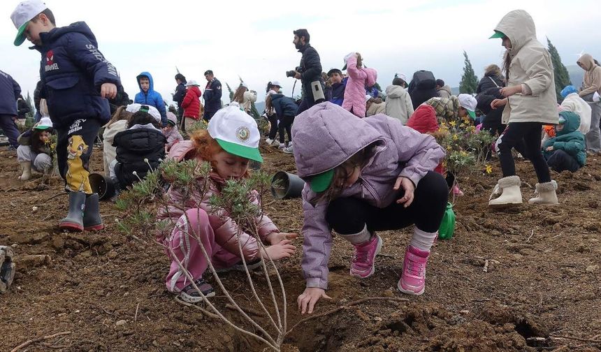 İzmir’de orman haftasında 100 bin fidan toprakla buluştu