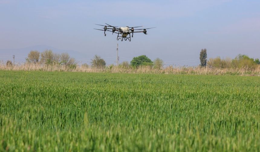 Aydın'da tarlalar drone ile ücretsiz gübreleniyor