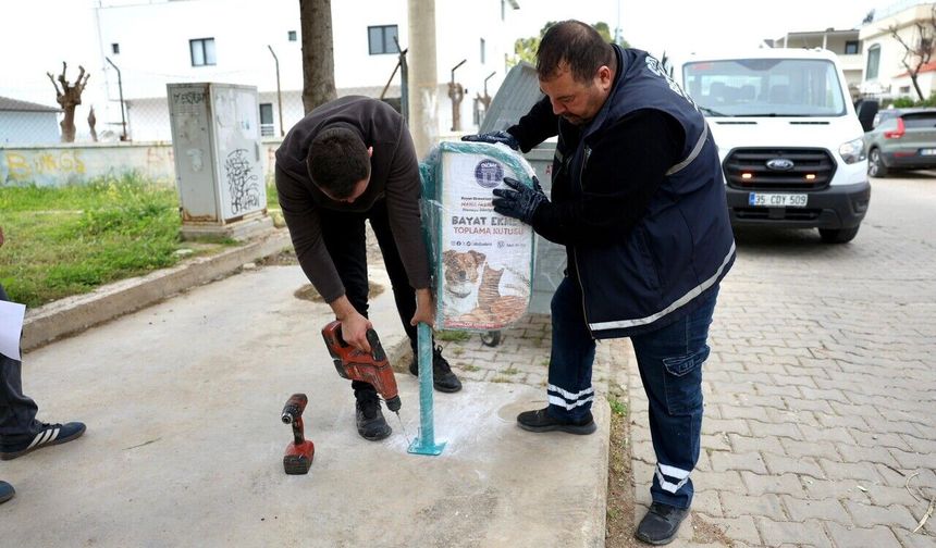 Didim’de bayat ekmekler can dostlara mama oluyor