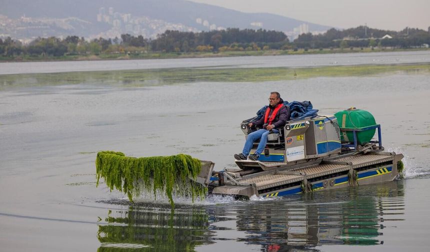 Uzmanlar açıkladı: Temiz Körfez için çözüm Gediz'de aranmalı