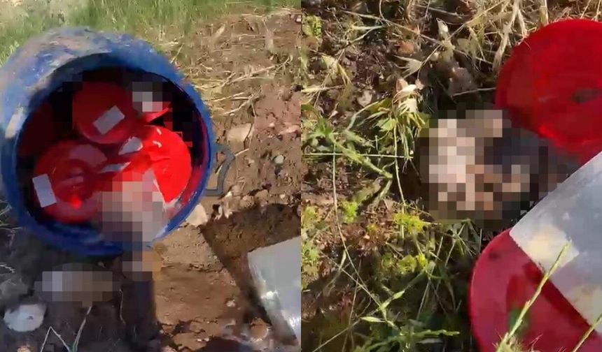 Mezarlıkta şoke eden olay: Bidon içinde 21 cenin bulundu