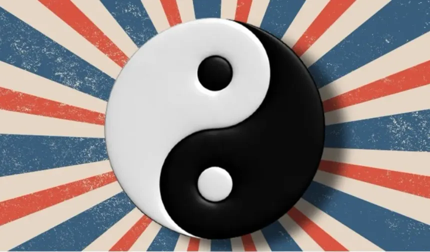 YKS AYT yin yang sorusu neydi, yin yang cevabı nedir?