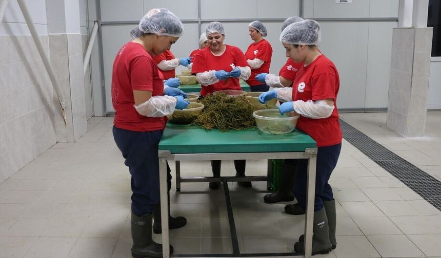 Efeler’in kadın emeği dünyaya açılıyor