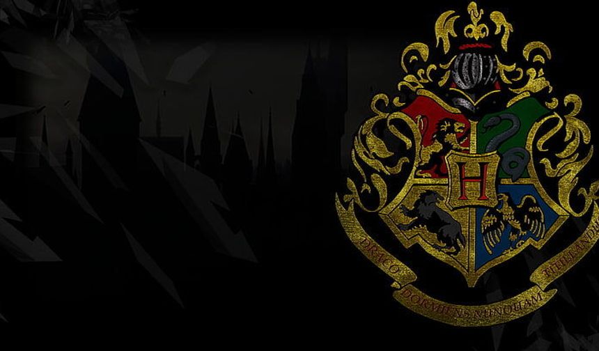 YKS AYT Harry Potter sorusu neydi, Harry Potter Gryffindor cevabı nedir?