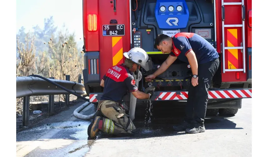İzmir İtfaiyesi dumandan etkilenen bukalemunu kurtardı