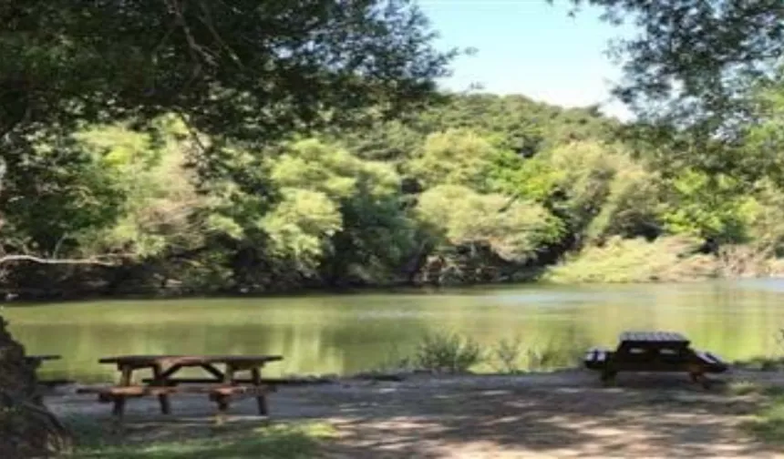 İzmir'in en güzel piknik alanları