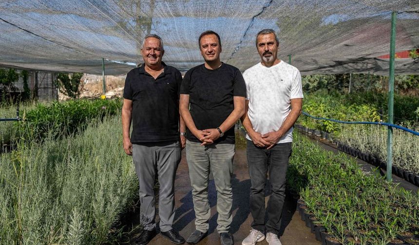 Bornova’ya İzmir’in ilk lavanta parkı geliyor