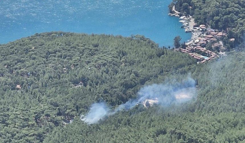 Muğla'da orman yangını: Ekipler havadan ve karadan müdahale ediyor