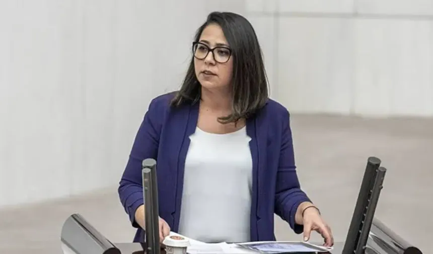 TİP Milletvekili Sera Kadıgil hakkında iki suçlamayla soruşturma başlatıldı