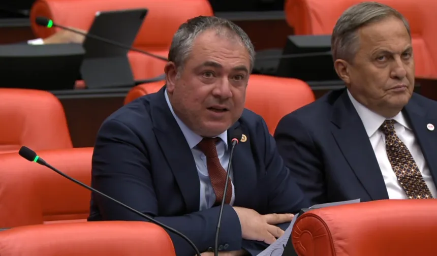 YENİ Partili Karakoz, Çine yangınını Meclis gündemine taşıdı