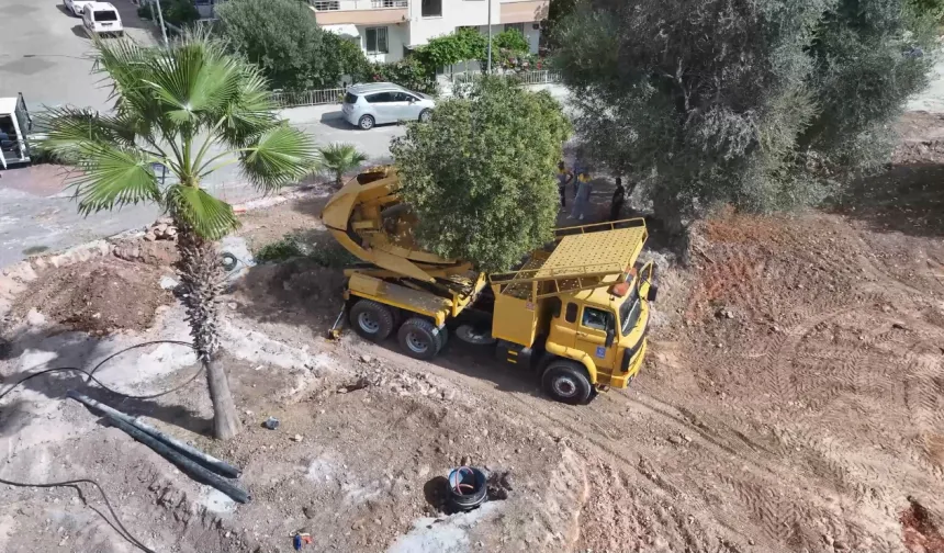Didim'de Kaykay Parkı projesinde yeşil alanlara koruma