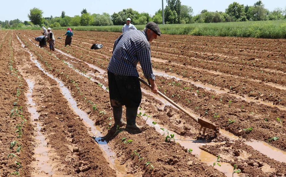 Plansız üretimin sonucu karpuzu vurabilir