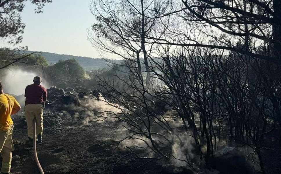 İzmir'de mangal yakarken orman yangınına neden olan kişi tutuklandı