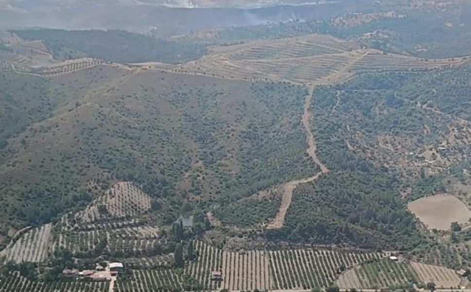 İzmir'de orman yangını korkuttu: Hızlı müdahale felaketi önledi!