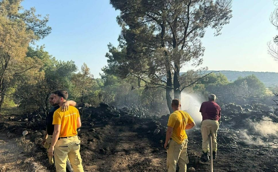 İzmir'de orman yangını: Yangına neden olan mangalcı tutuklandı!