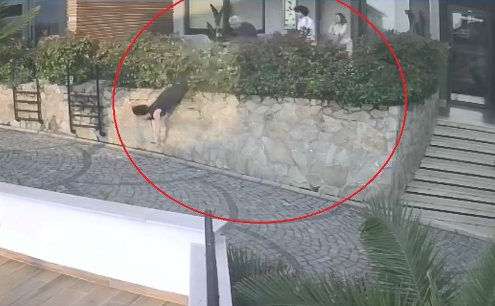Komşular arasında korkunç kavga: Doktorun ittiği kadın ağır yaralandı!