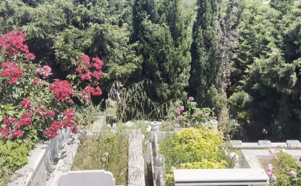 Mezarlıkta erkek bebek cesedi bulundu