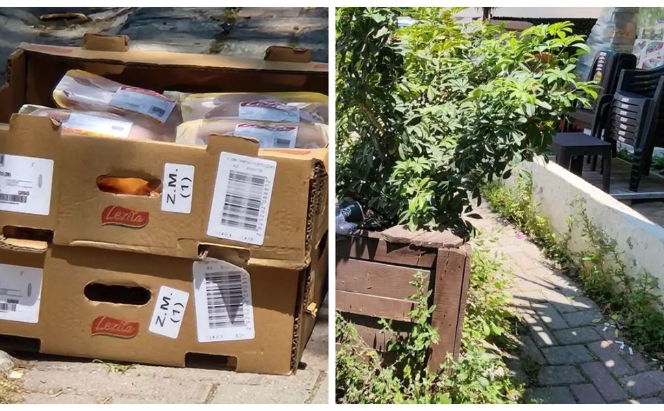 Zincir markette skandal: Tavuklar güneş altında bekletildi