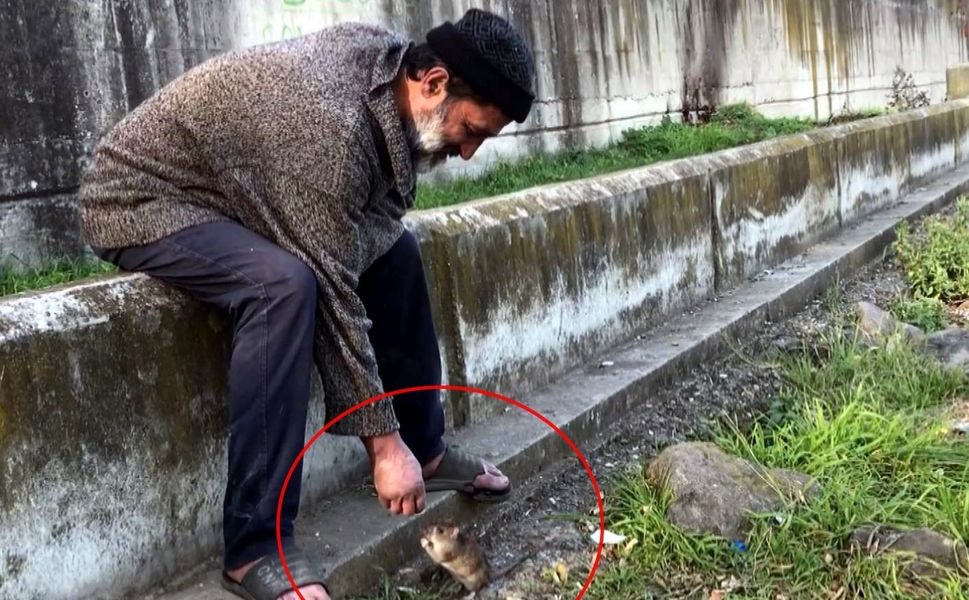 Farelerle dostluğu ile haberlere konu olan kişi otobüs durağında ölü bulundu