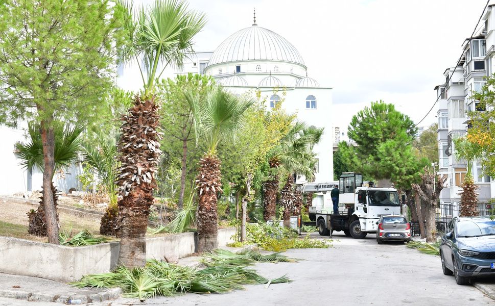 Çiğli'de sonbahar bakımı çalışmaları sürüyor