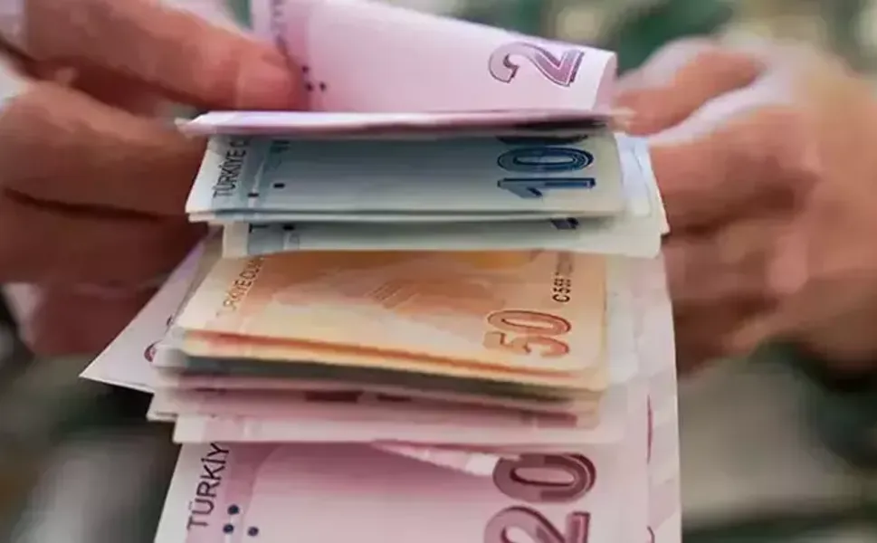 Devletten dev destek: Küçükbaş hayvancılığa 100 koyun ve aylık 15 bin TL destek