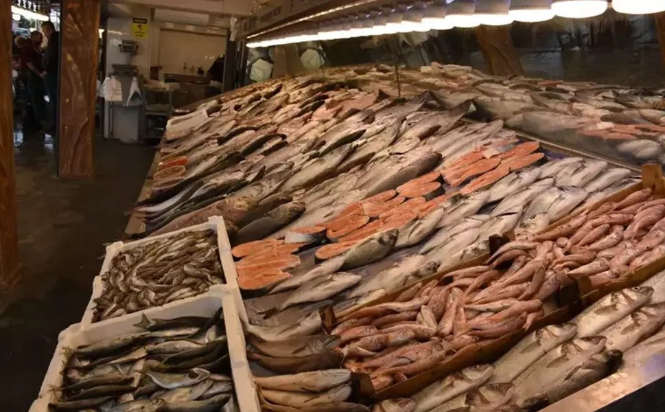 İzmirli balıkçılar sezonun kalanından umutlu