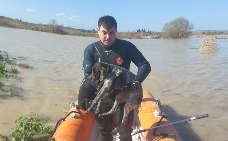 İzmir'de umut dolu anlar: Ekiplerden tüm canlara yardım eli