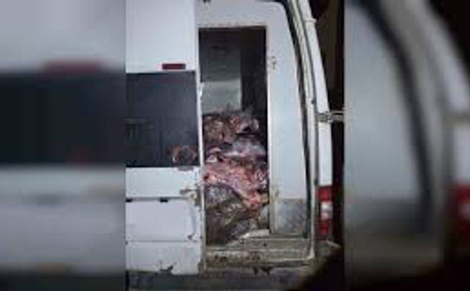 Halk sağlığını tehdit eden sevkiyat: Tonlarca sakatat ele geçirildi!