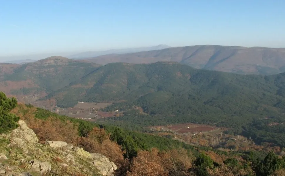 CHP’li Karakülçe’den Kemalpaşa'da orman vasfından çıkarılan alana TOKİ iddiası