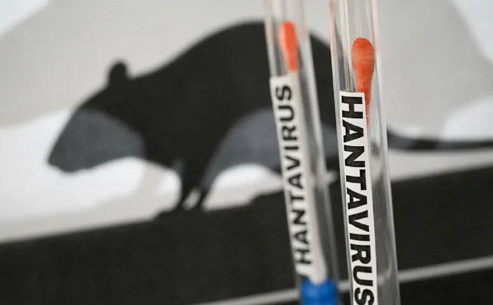 SON DAKİKA | Hantavirüs tespit edilen 3 Türk yolcu karantinaya alındı