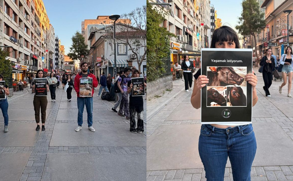 İzmir Vegan Platformu’ndan “Bayrama evet, kurbana hayır” eylemi