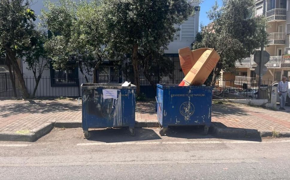 İzmir’de çöp konteynerinde bulunan 33 ölü kediyle ilgili veteriner gözaltında