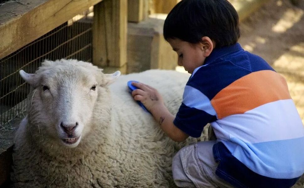 Kurban görüntüleri için kritik uyarı: “Şiddeti tetikleyebilir”