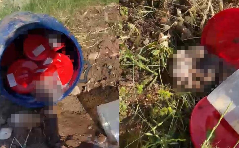 Mezarlıkta şoke eden olay: Bidon içinde 21 cenin bulundu