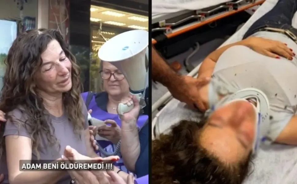 İzmir'de hayvansevere kan donduran saldırı: Başkan Sengel'den açıklama!