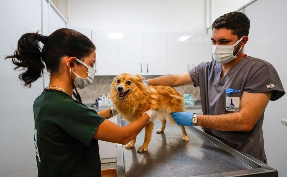 Pako’da cerrahi ekipmanlar artık merkezi sistemle sterilize ediliyor