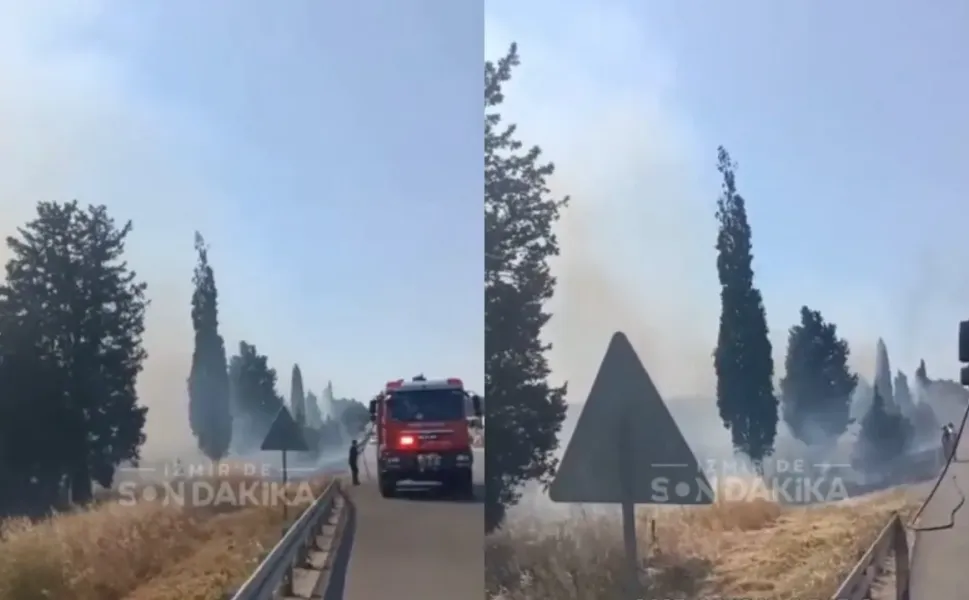 Torbalı Ayrancılar'da korkutan yangın! Otluk alan dumanlara teslim oldu