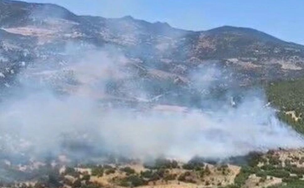 Bornova'da orman yangını: Havadan ve karadan müdahale sürüyor