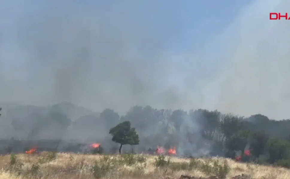 Çanakkale'de korkutan orman yangını! Alevlere teslim oldu
