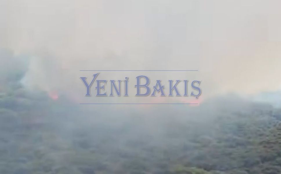 İzmir Dikili Bademli'de yeniden yangın çıktı