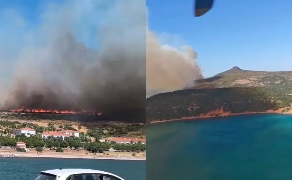 İzmir Foça'da orman yangını: Havadan ve karadan müdahale sürüyor