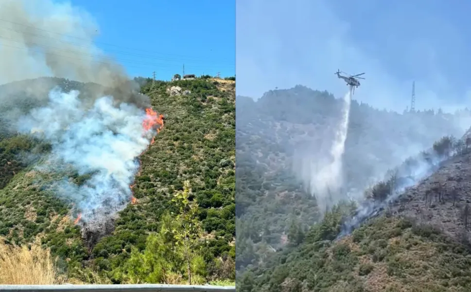 İzmir Narlıdere'deki orman yangını kontrol altına alındı