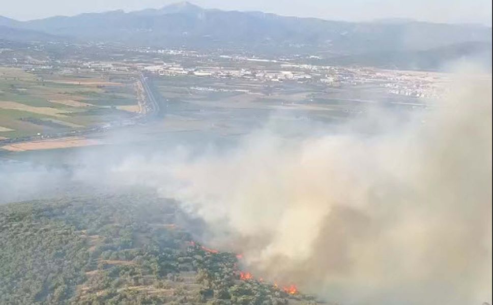 İzmir Torbalı’da orman yangını: Havadan ve karadan yoğun müdahale sürüyor!
