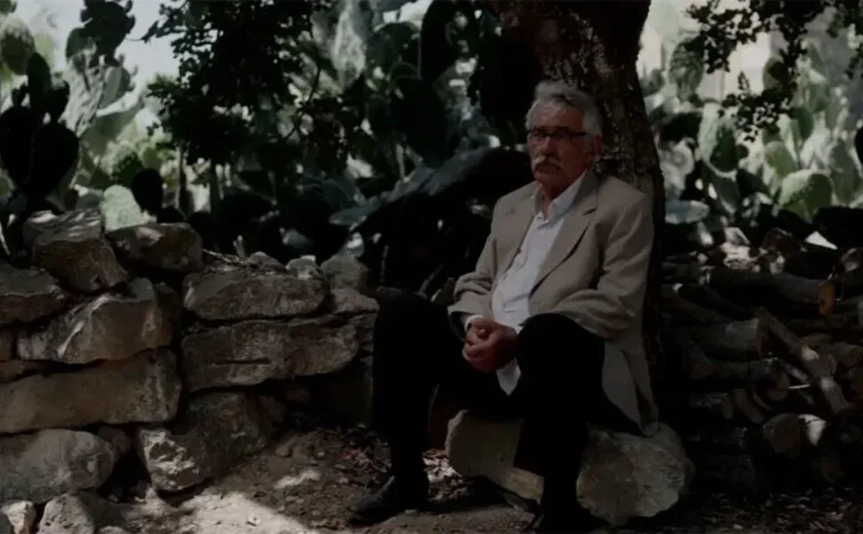 TRT ortak yapımı 'Kesilmiş Bir Ağaç Gibi' Türkiye'nin Oscar adayı oldu