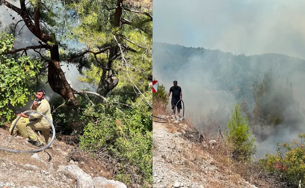 Alanya'da orman yangınına havadan ve karadan müdahale